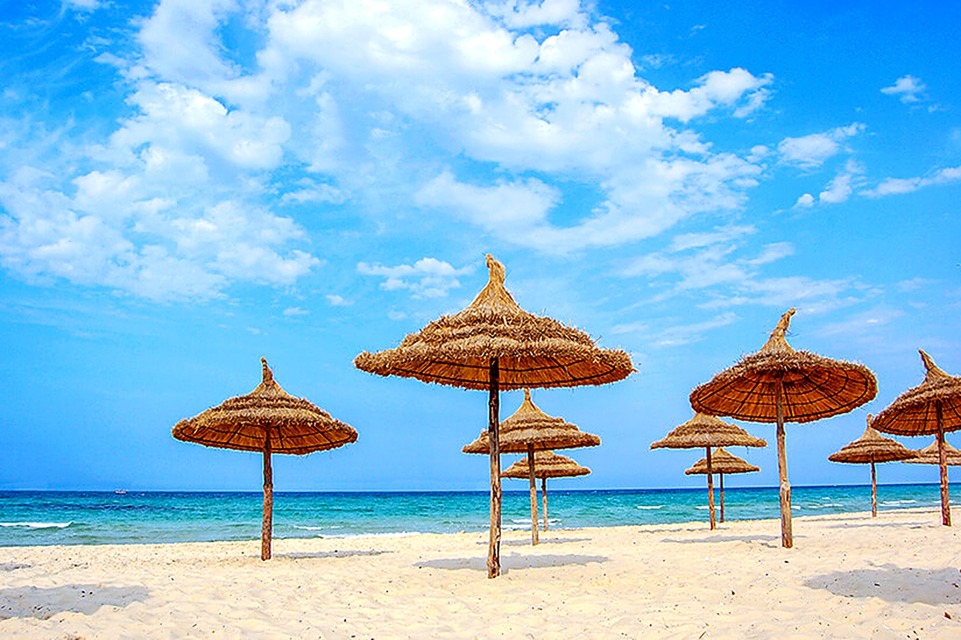 Straw parasols on the white sand beach of Hammamet