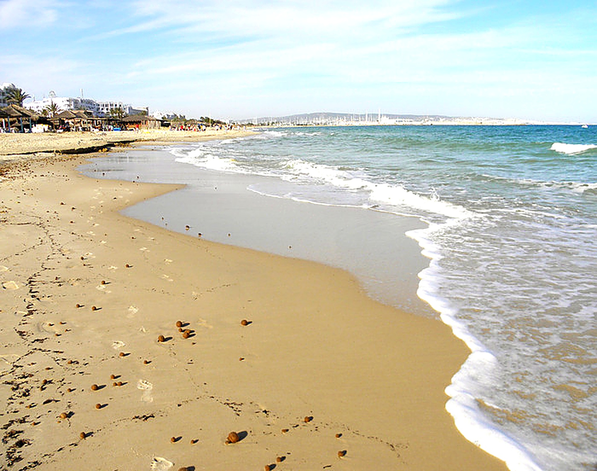 Empty sandy shoreline with gentle waves at Hammamet beach