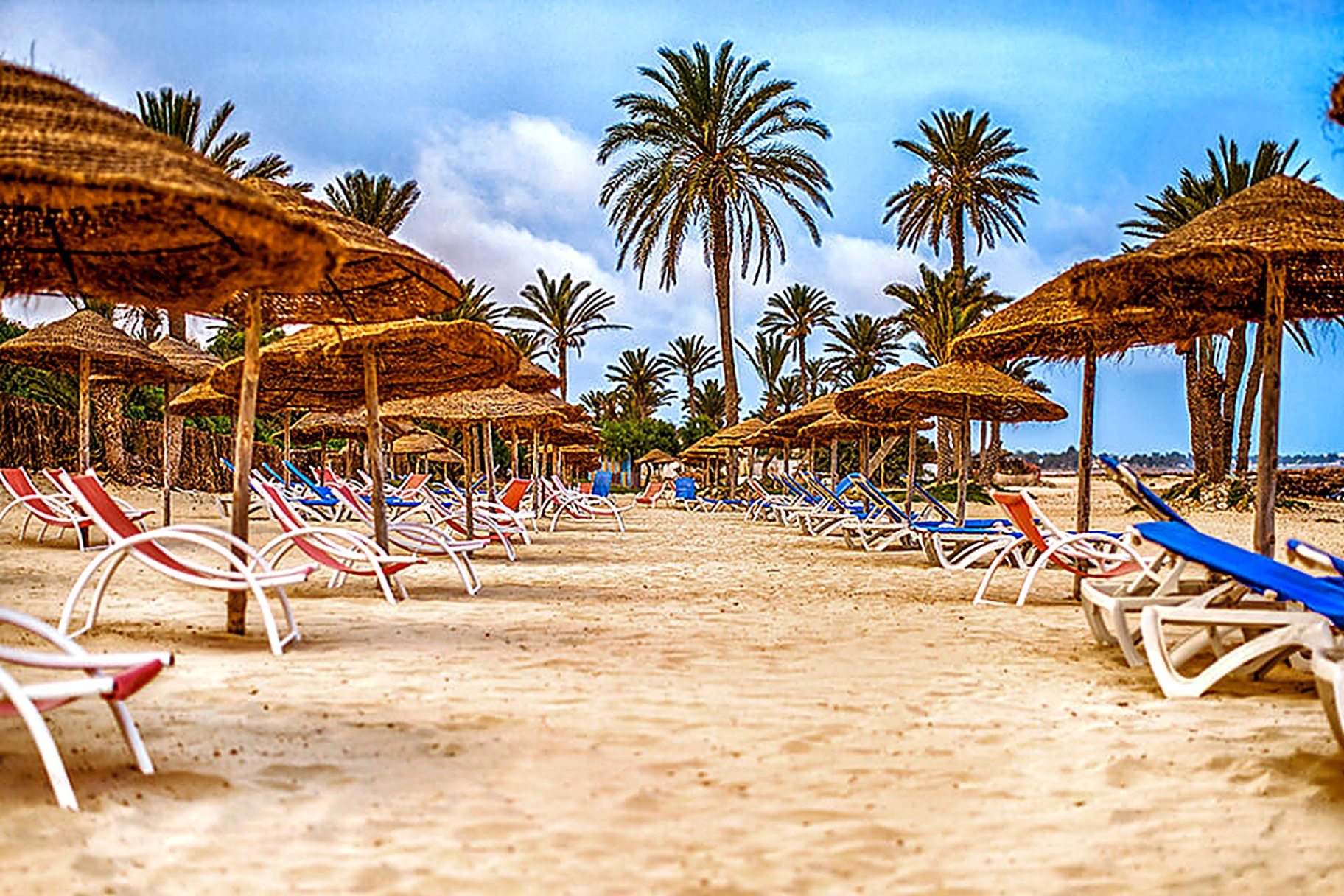 Beach loungers and parasols beneath palm trees