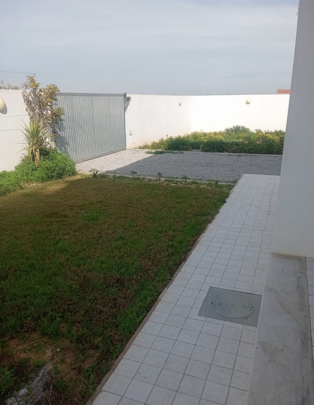 Walled garden with green lawn and tiled pathway