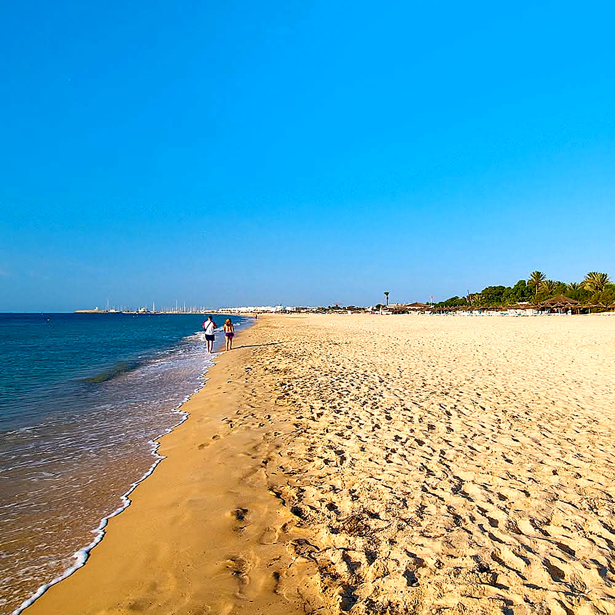 Long golden sandy beach along the Hammamet coastline